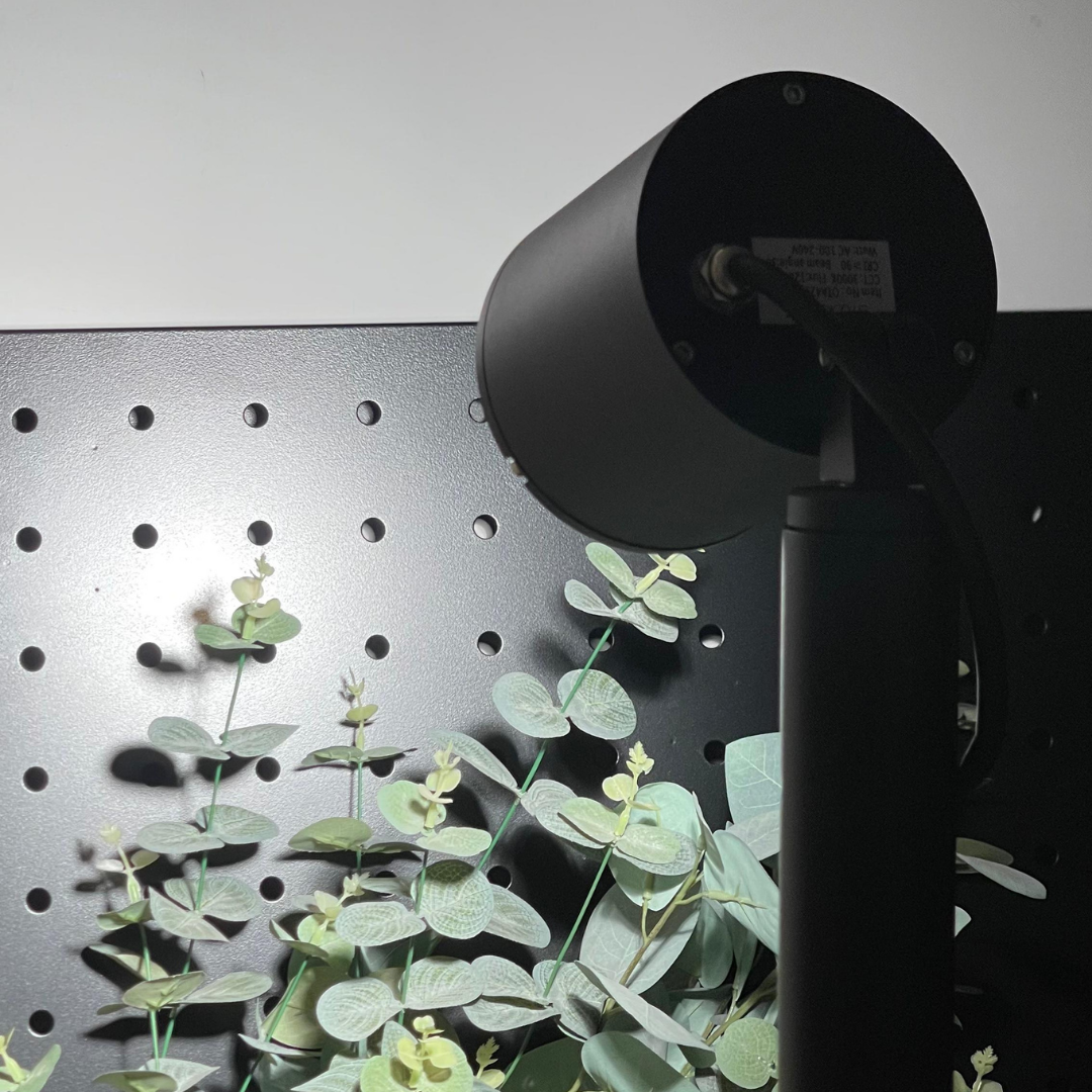 3821 - 2025-10-07T155907.385